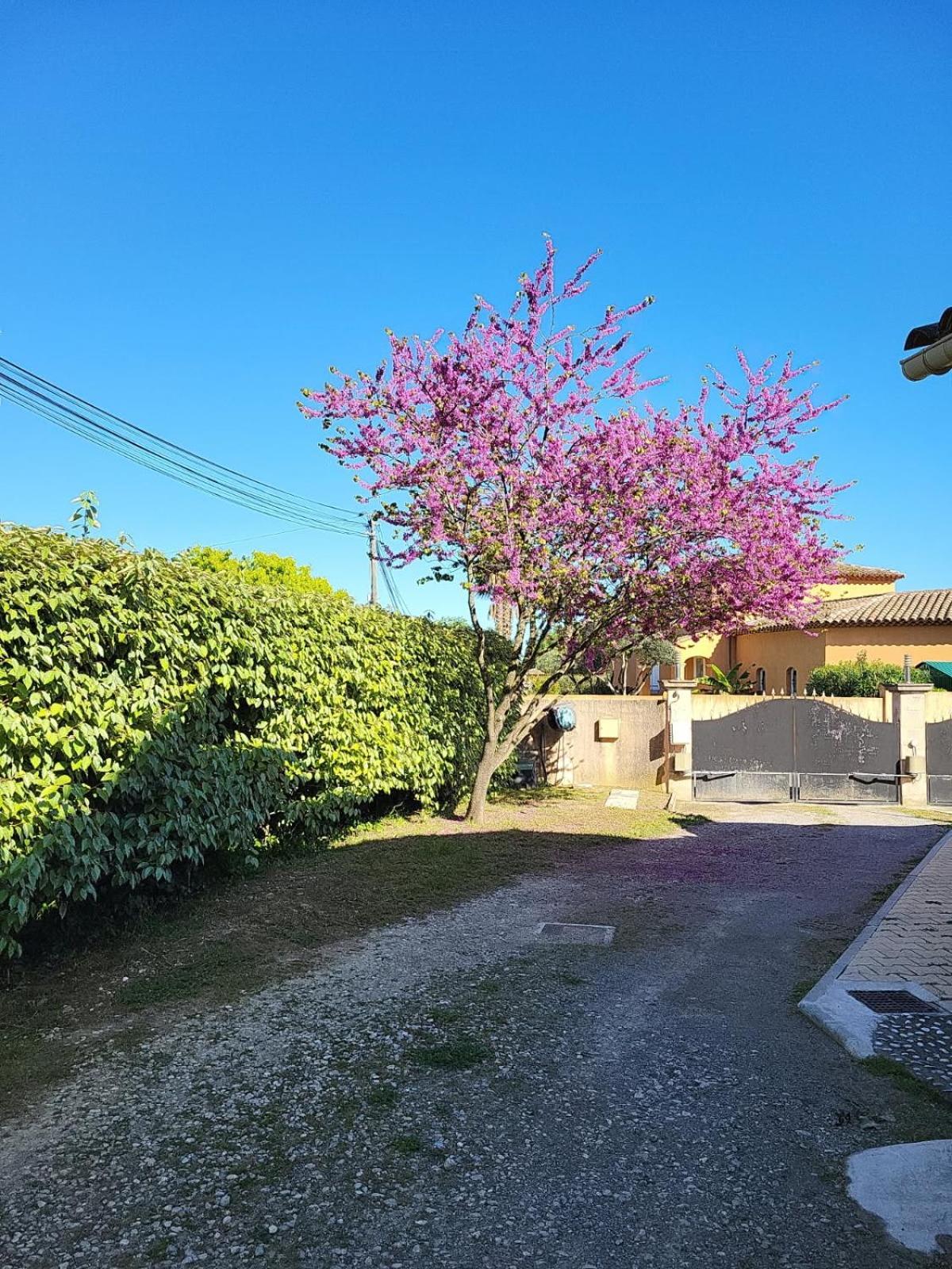 La Toscane Roquebrune-sur Argens Extérieur photo